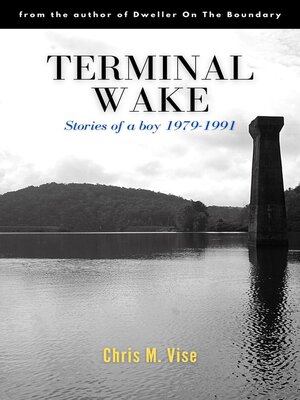 cover image of Terminal Wake